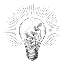 Vector Vintage Illustration With Hand Drawn Light Bulb, Plants, Herbs, Branches And Floral Elements Inside Isolated On White Background