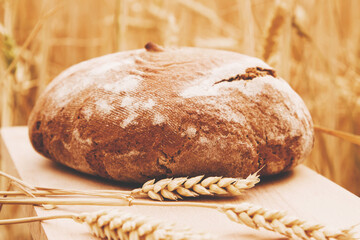 Fresh bread and wheat as symbol of food and agriculture.