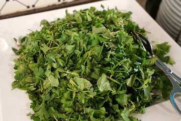 Close up bowl of green salad bar