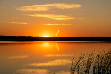 Wall Mural - picturesque sunset over the lake