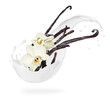 Dried vanilla sticks with flowers in milk splashes on a white background