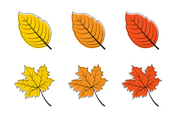 Wall Mural - leaves. autumn leaf vector icons. leaves maple. leaf different color. autumn leaves maple. vector il