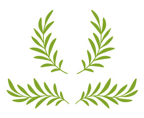 Wall Mural - green olive branches with leaves and wreath