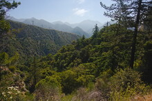 Angeles Forest National Park Panoramic Landscape, With Mountain Range Peaks, Changing Terrain, Of Valleys Rolling Hills With Trees, Plants And Mount Brush. Scenic Views  And Beautiful,