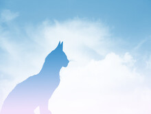 Illustration Of Cat In Heaven