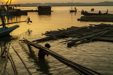Man Carrying Bamboo From Irrawaddy River At Sunset  In Mandalay, Myanmar