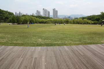 Canvas Print - Old hardwood decking or flooring and plant in park . green grass