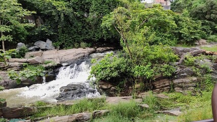 small waterfall in the forest