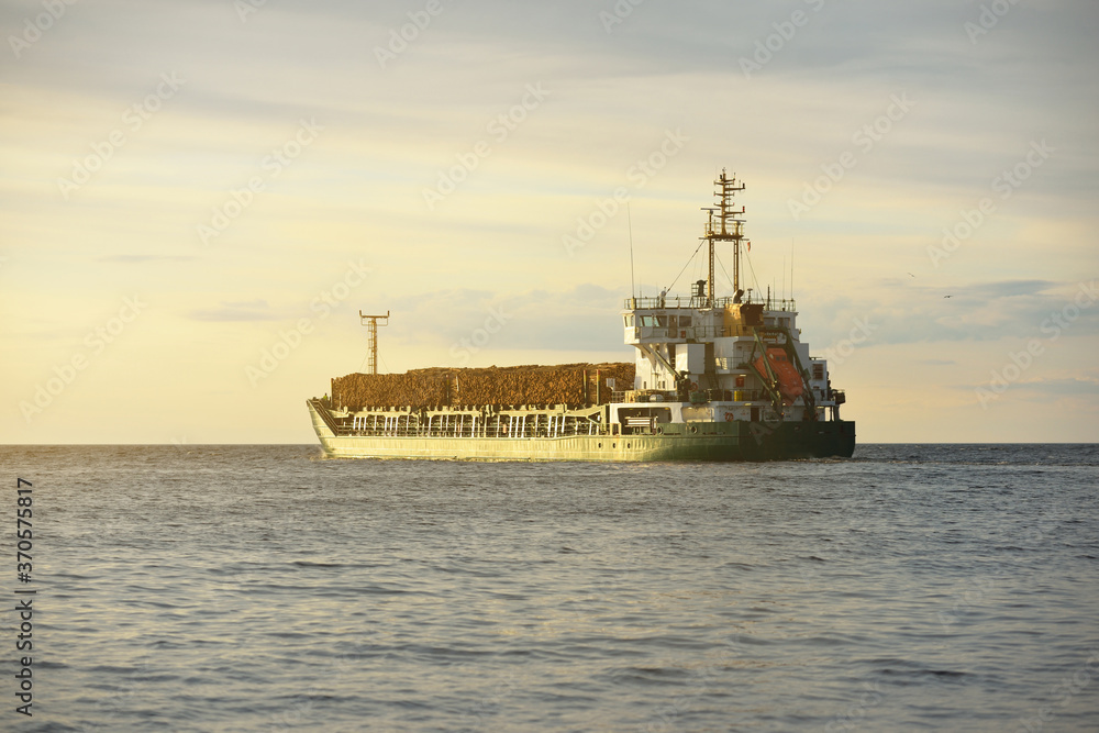 Large green cargo ship with firewood (wood) in an open sea at sunset ...