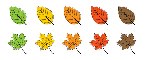 Wall Mural - leaves. season leaf. leaves different color, isolated. leaf vector icons. vector illustration