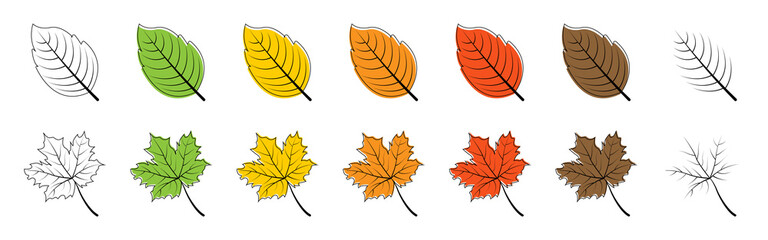 Wall Mural - leaves. season leaf. leaves different color, isolated. leaf vector icons. vector illustration