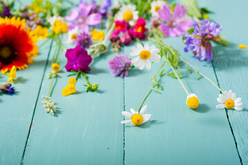 Wall Mural - herbal and wildflowers on blue wooden table background