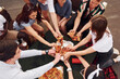 © standret - With delicious pizza. Group of young people in casual clothes have a party at rooftop together at daytime