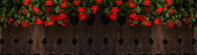 Red Hanging Geraniums ( Pelargonien ) On Rustic Brown Old Balcony Railing Made Of Wood In Alpenland Bavaria Black Forest Optics, With Rhombus Wood Carving