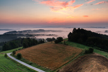 Wall Mural - Agriculture Fields and Meadows in Fog at Summer Sunrise