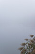 Gęsta mgła nad taflą jeziora - dzika okolica