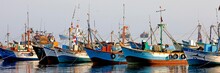 Fishing Boats In Harbour Of Paracas, Peru