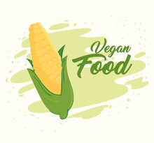 Banner With Vegetables, Concept Vegan Food, With Fresh Cob Corn Vector Illustration Design