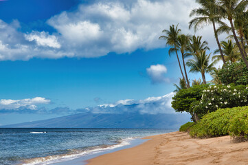 Deserted Ka'anapali beach during covid-19.