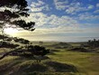 © liam - Bandon Dunes Oregon