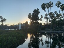 Reflective Pond By Palm Trees At Blue Sunset