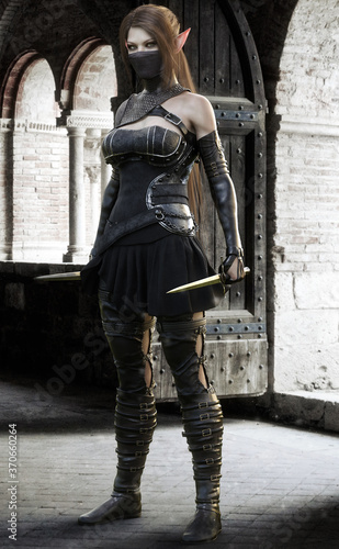 Fotomural A masked dark elf assassin silently enters the castle room looking for her target