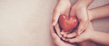 Hands Holding Red Heart, Heart Health, Charity Volunteer Donation, CSR Responsibility, World Heart Day, World Health Day, Family Day, Adoption Foster Care Home, All Lives Matter, No To Racism Concept
