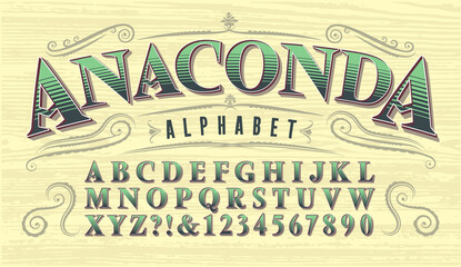Wall Mural - Anaconda Font. Antique Style Vintage Alphabet. Old West or Circus Style of Lettering for Saloons, Gambling, Card Games, Poker, etc.