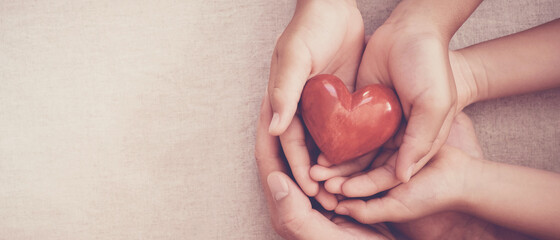 hands holding red heart, heart health, charity volunteer donation, csr responsibility, world heart d