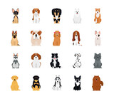 Fototapeta Pokój dzieciecy - icon set of pinscher and dogs, flat style