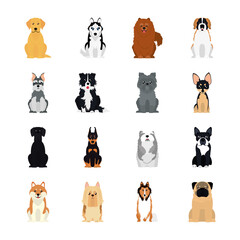  icon set of collie and dogs, flat style