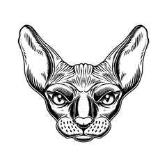 Sticker - Illustration of head of Sphynx cat breed in vintage monochrome style. Design element for logo, emblem, sign, poster, card, banner. Vector illustration