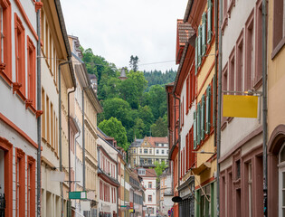 Wall Mural - Heidelberg city view