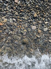 Wall Mural - Sea pebbles background, natural colors