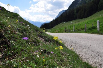 Wall Mural - Auf dem Weg zur Mordaualm