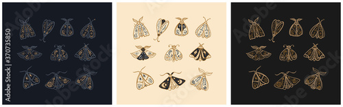 Fotomural Hand drawn set of mystic moths or Butterfly