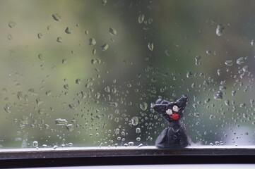 Poster - Figure of a lone cat on a wet window.