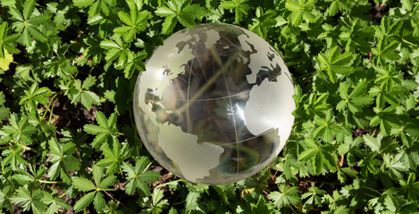 earth green concept glass sphere.