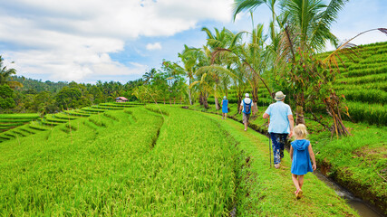 Wall Mural - Nature walk in green rice terrace. Tourist group of retirees, kids trekking by path with beautiful view of Balinese traditional fields. Travel adventure with child, family vacation in Bali, Indonesia