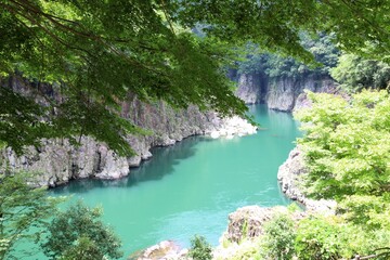 Canvas Print - 吉野熊野国立公園　瀞峡