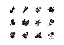 Indian Spices Black Glyph Icons Set On White Space. Aromatic Flavoring. Cinnamon And Star Anise. Coriander And Black Pepper. Asian Seasonings. Silhouette Symbols. Vector Isolated Illustration