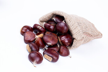 Wall Mural - Chestnut Isolated. Roasted sweet chestnuts for Christmas on white background. Top view. 