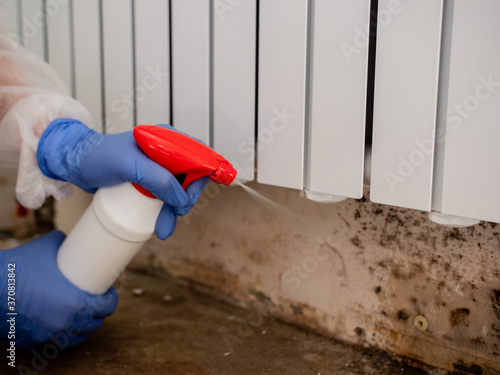 Fotografía A woman in a protective suit and a respirator sprays a special antifungal spray on the mold-infested wall under the heating battery, Clouse-up