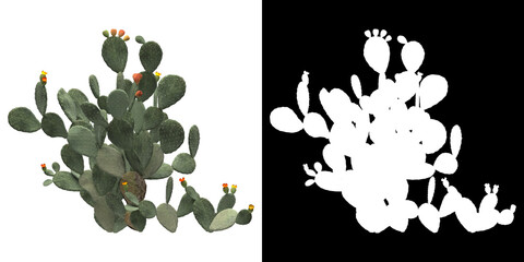 Wall Mural - front view of tree (opuntia ficus indica) png with alpha channel to cutout 3d rendering. for forest 