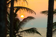 © Luis Gomez/ADDICTIVE STOCK - Scenic view of palm trees and sea on background of spectacular sundown