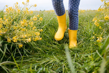 Grl's Legs In Yellow Rubber Boots On Rape Field