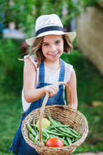 Smiling Girl With Basket And Fresh Fruit And Vegetables In Garden