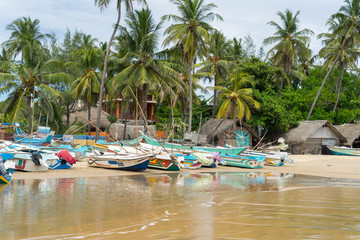 colorful fishing boats on the beach, Arugam Bay, Sri Lanka