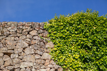 View at the exterior rustic wall in granite stone masonry with vegetation