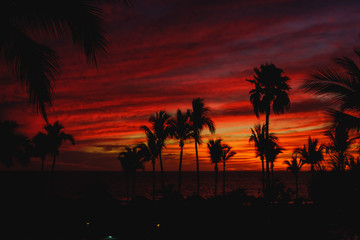 Sunset en puerto vallarta